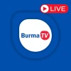 Yacine TV Alternatives: Best streaming Platforms in 2026 4 Burma TV